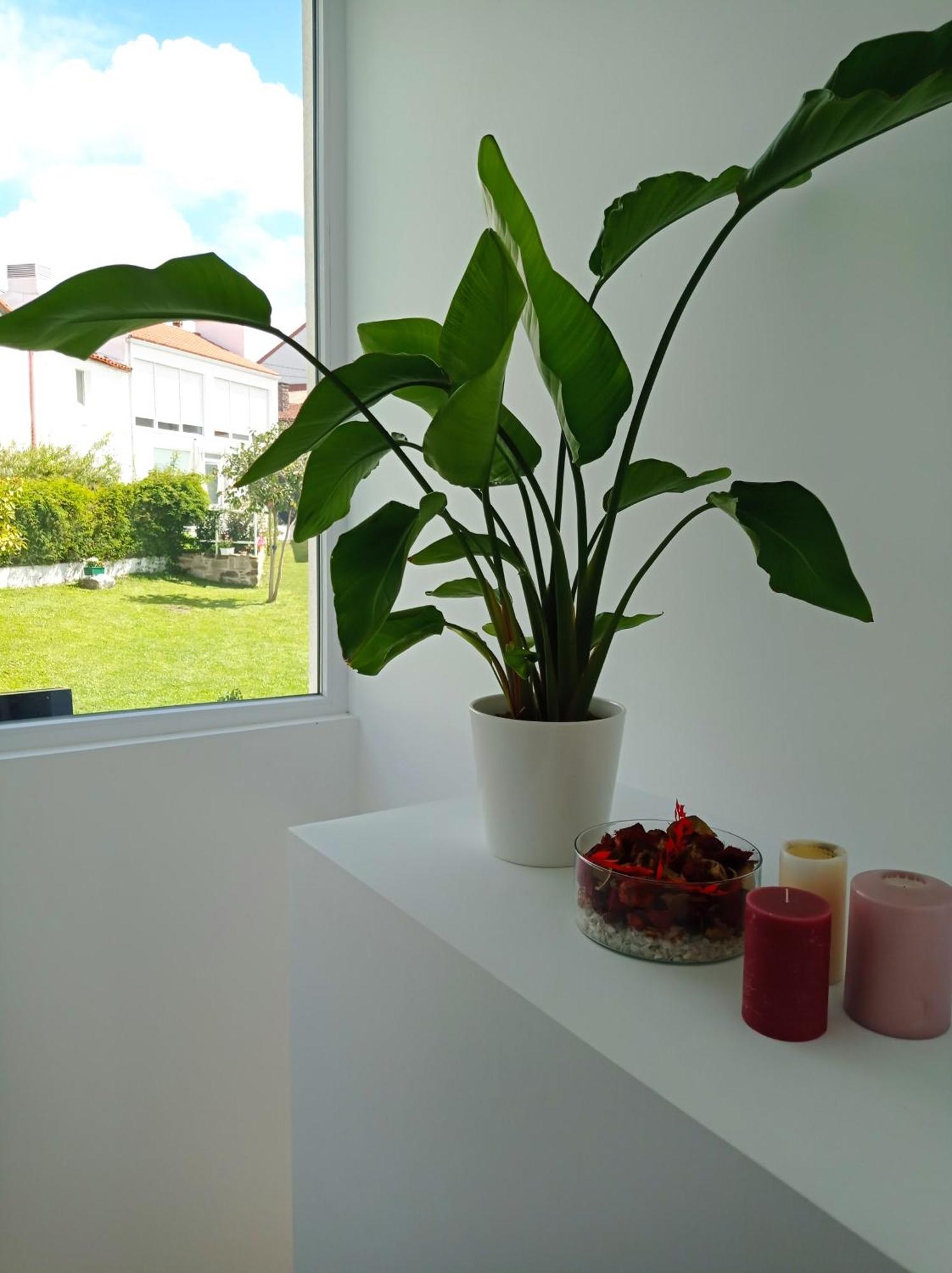 Casas Turisticas Lar Jardin - Parking Privado San Giacomo di Compostella Esterno foto