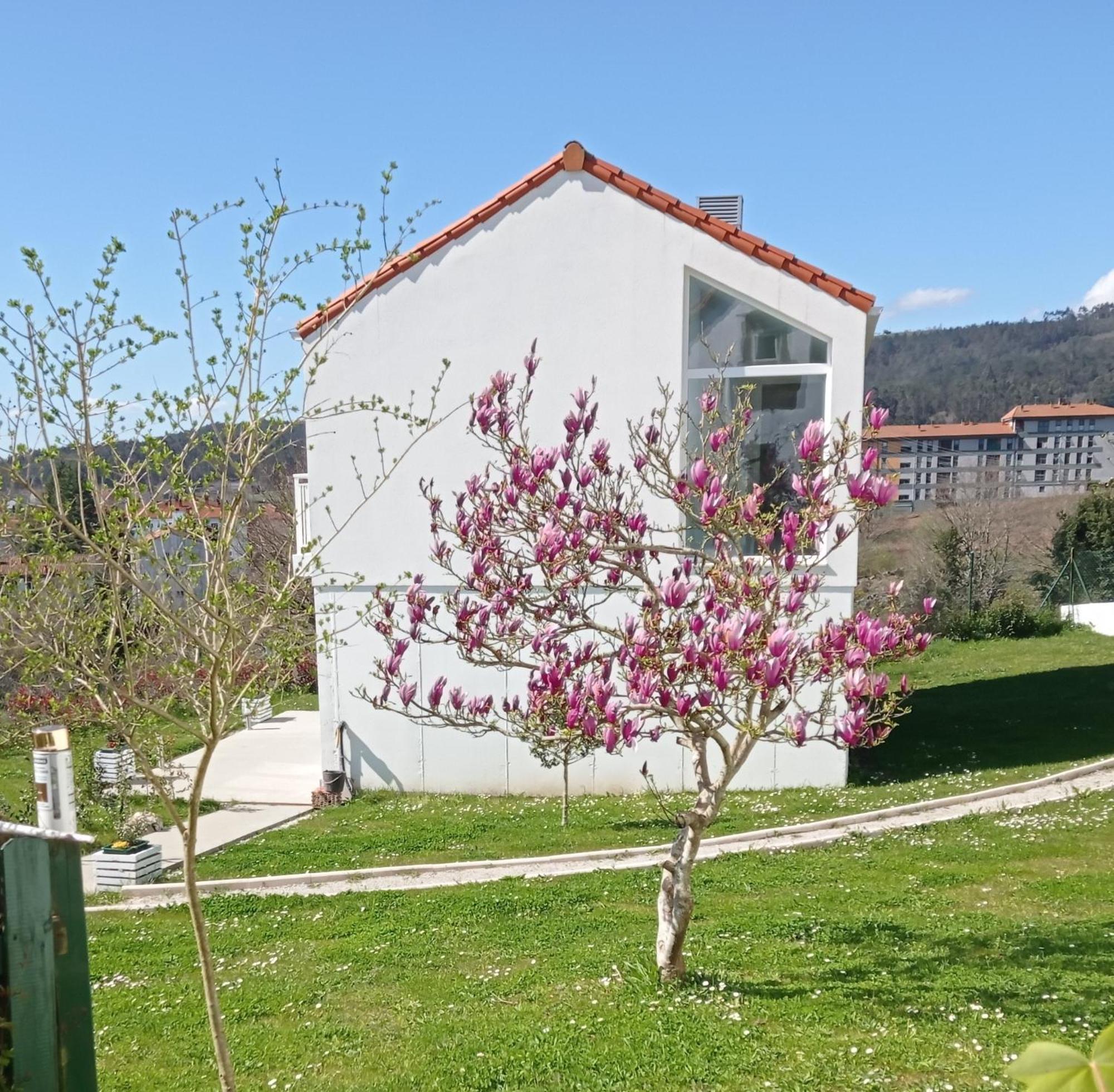 Casas Turisticas Lar Jardin - Parking Privado San Giacomo di Compostella Esterno foto