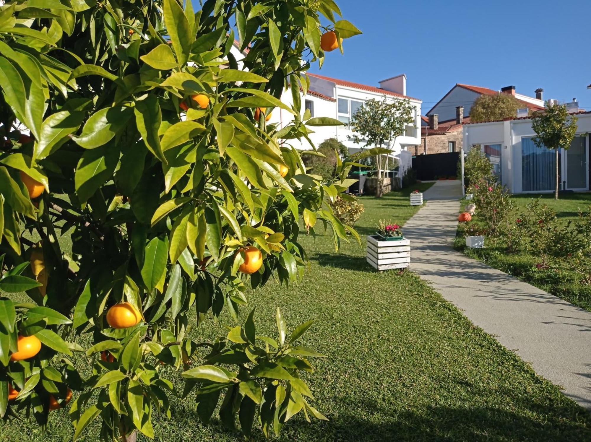 Casas Turisticas Lar Jardin - Parking Privado San Giacomo di Compostella Esterno foto